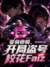 ����������ֵ���У��Faiz